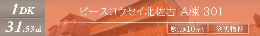 ピースコウセイ北佐古 A棟 301表紙