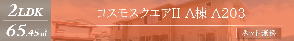コスモスクエアII A棟 A203表紙
