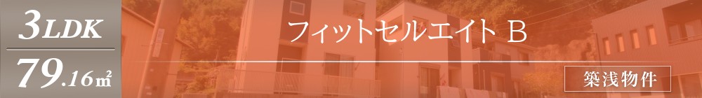 フィットセルエイト B表紙