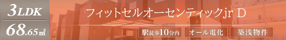 フィットセルオーセンティックjr D表紙