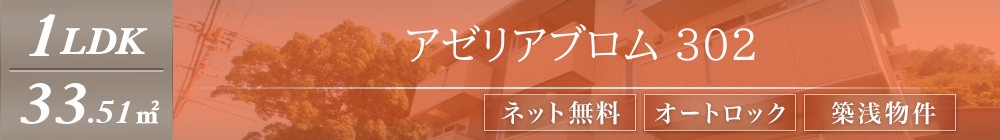 アゼリアブロム 302表紙