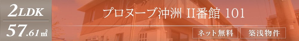 プロヌーブ沖洲 II番館 101表紙