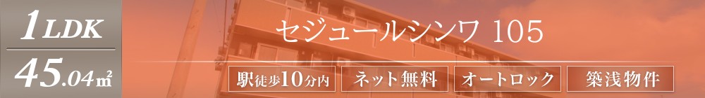 セジュールシンワ 105表紙