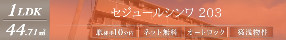 セジュールシンワ 203表紙