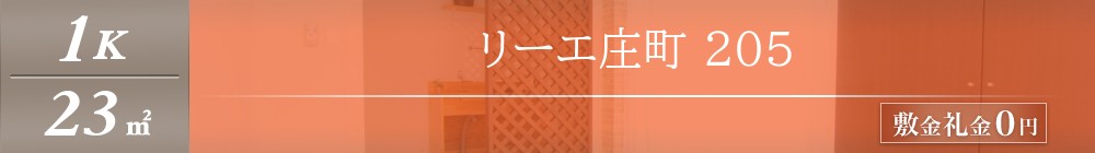 リーエ庄町 205表紙