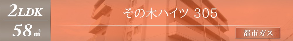 その木ハイツ 305表紙