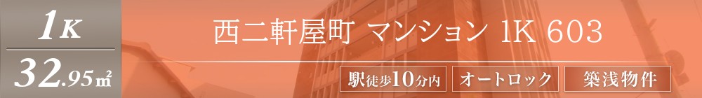 西二軒屋町 マンション 1K 603表紙