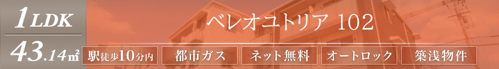 ベレオユトリア 102表紙