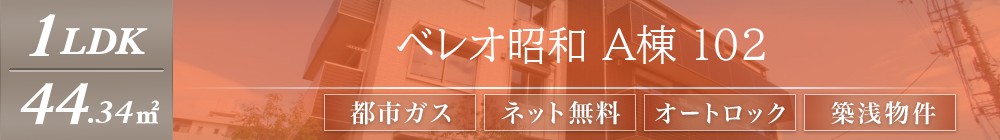 ベレオ昭和 A棟 102表紙