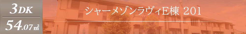 シャーメゾンラヴィE棟 201表紙