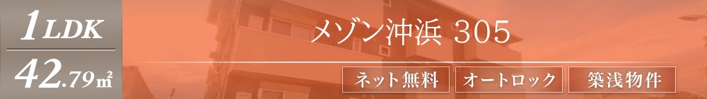 メゾン沖浜 305表紙