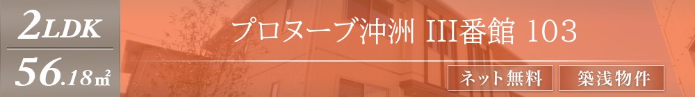 プロヌーブ沖洲 III番館 103表紙