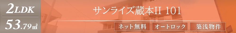 サンライズ蔵本II 101表紙