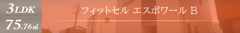 フィットセル エスポワール B表紙