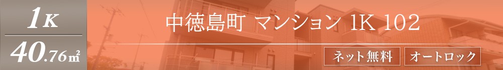 中徳島町 マンション 1K 102表紙