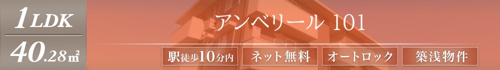 アンベリール 101表紙