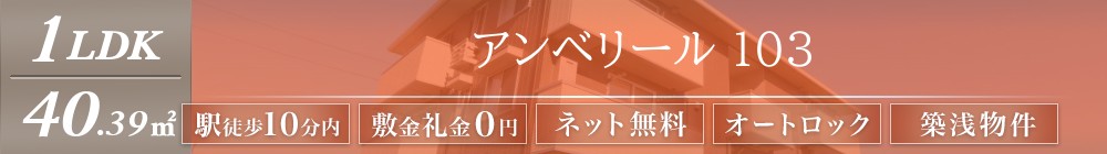 アンベリール 103表紙