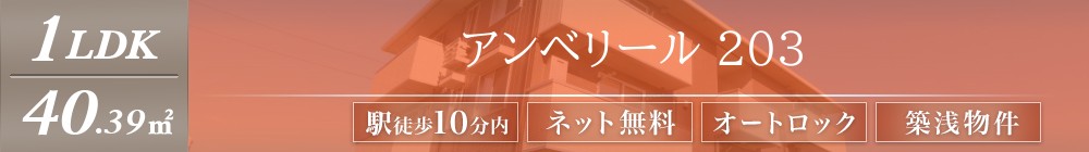 アンベリール 203表紙