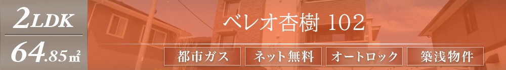 ベレオ杏樹 102表紙