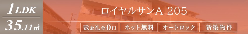 ロイヤルサンA 205表紙