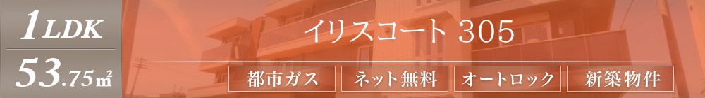 イリスコート 305表紙
