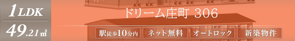 ドリーム庄町 306表紙