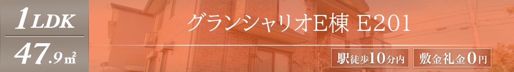 グランシャリオE棟 E201表紙