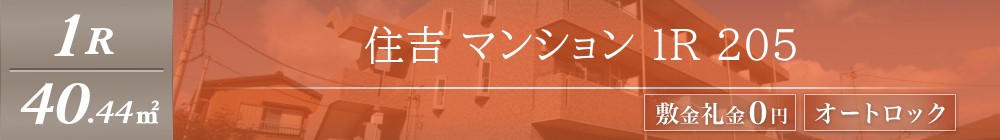 住吉 マンション 1R 205表紙