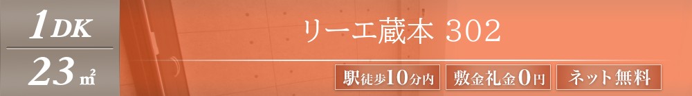 リーエ蔵本 302表紙