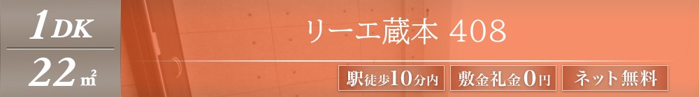 リーエ蔵本 408表紙