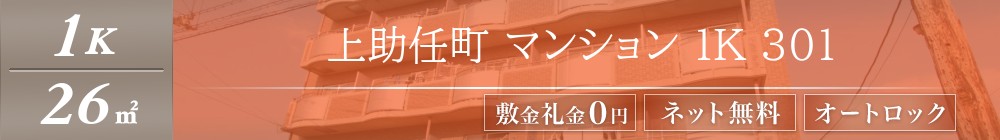 上助任町 マンション 1K 301表紙