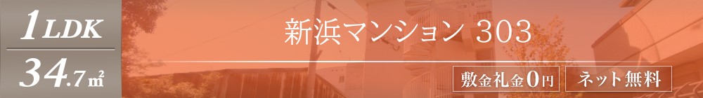 新浜マンション 303表紙