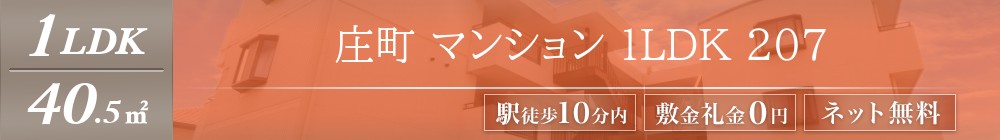 庄町 マンション 1LDK 207表紙