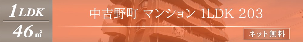 中吉野町 マンション 1LDK 203表紙