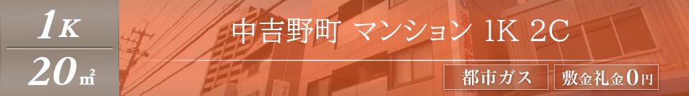 中吉野町 マンション 1K 2C表紙