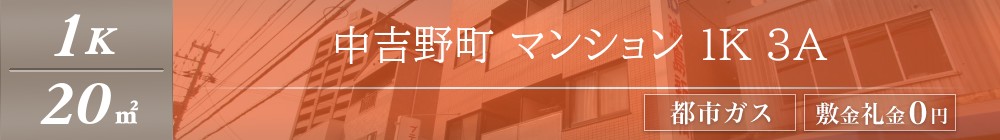 中吉野町 マンション 1K 3A表紙