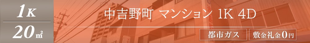 中吉野町 マンション 1K 4D表紙
