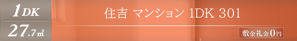 住吉 マンション 1DK 301表紙