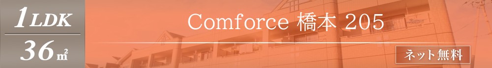 Comforce 橋本 205表紙