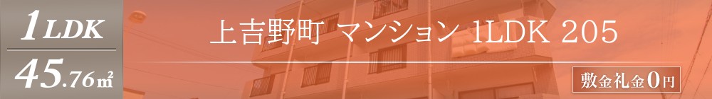 上吉野町 マンション 1LDK 205表紙
