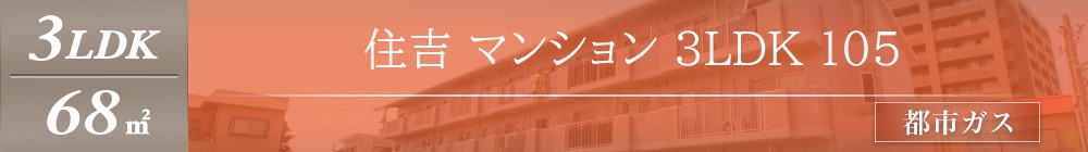 住吉 マンション 3LDK 105表紙