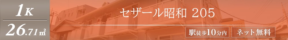 セザール昭和 205表紙