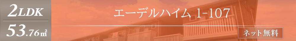 エーデルハイム 1-107表紙
