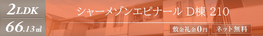 シャーメゾンエピナール D棟 210表紙