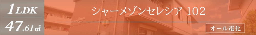 シャーメゾンセレシア 102表紙