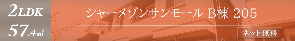 シャーメゾンサンモール B棟 205表紙