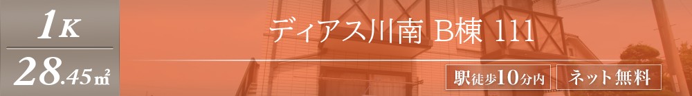 ディアス川南 B棟 111表紙
