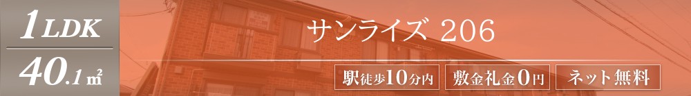 サンライズ 206表紙