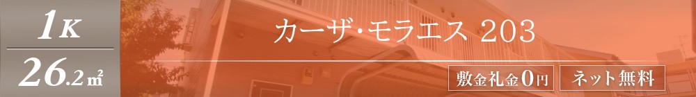 カーザ・モラエス 203表紙