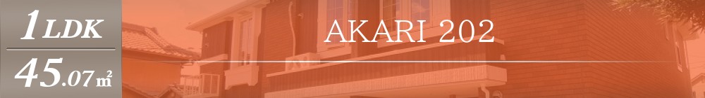 AKARI 202表紙